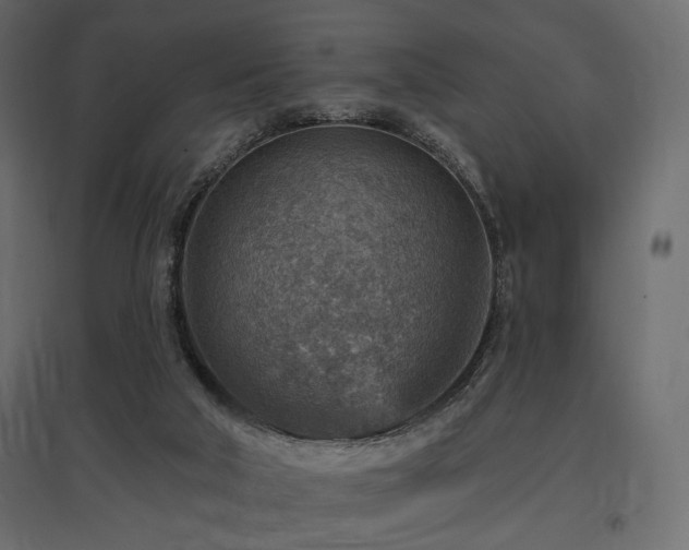 X0000097770018200803071328