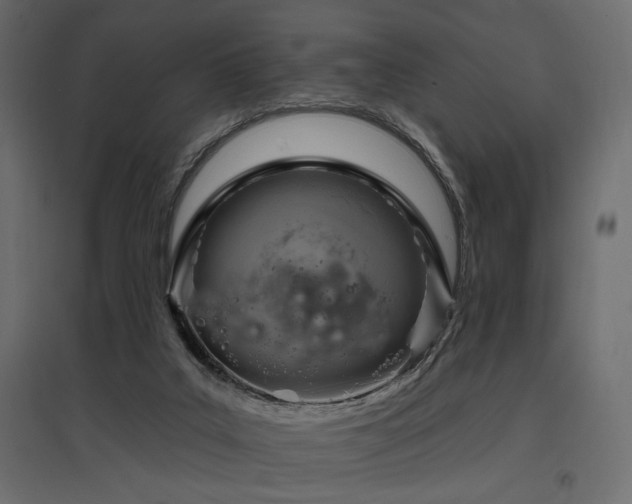X0000097770019200803071328