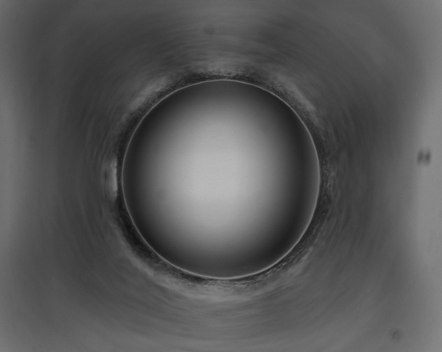 X0000097770020200803071328