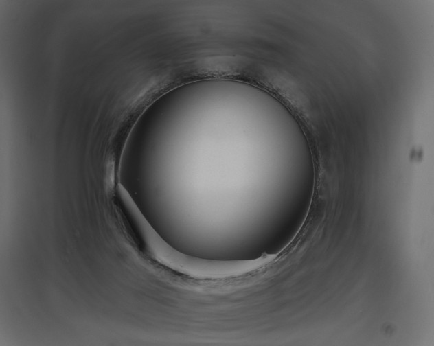 X0000097770021200803071328