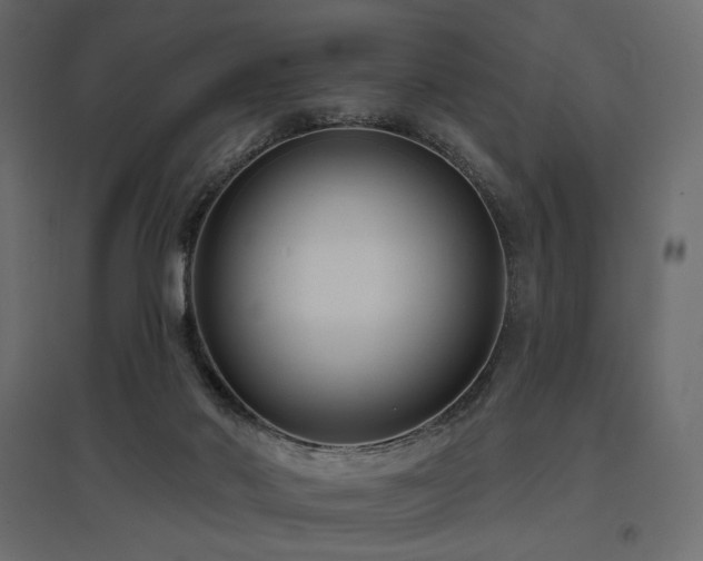 X0000097770022200803071328