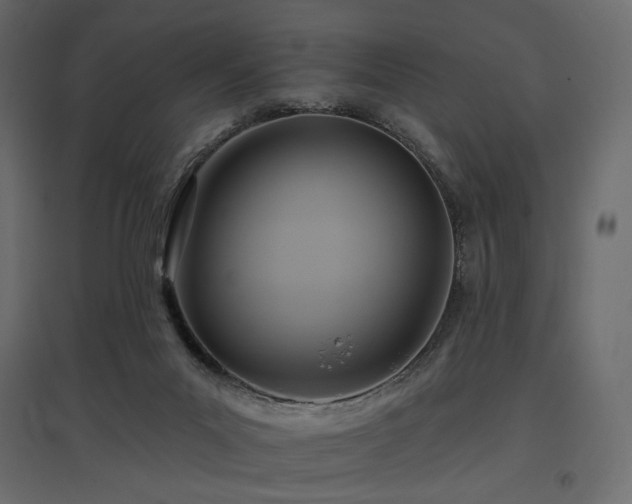 X0000097770023200803071328