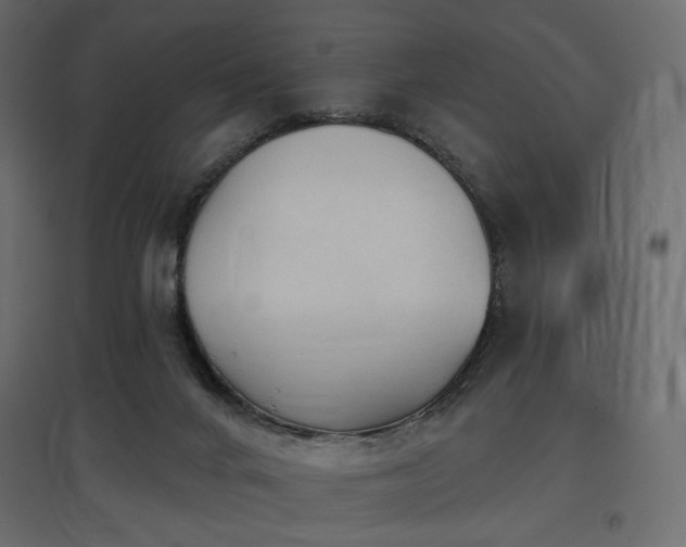 X0000097770024200803071327