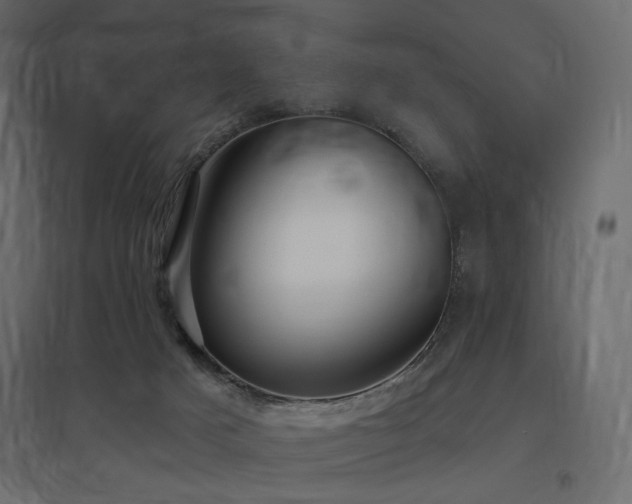 X0000097770025200803071327