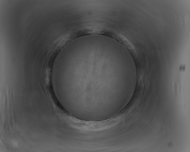 X0000097770026200803071327