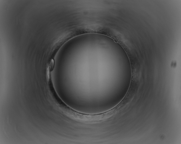 X0000097770027200803071327