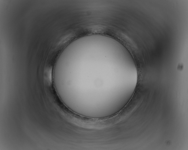 X0000097770028200803071327