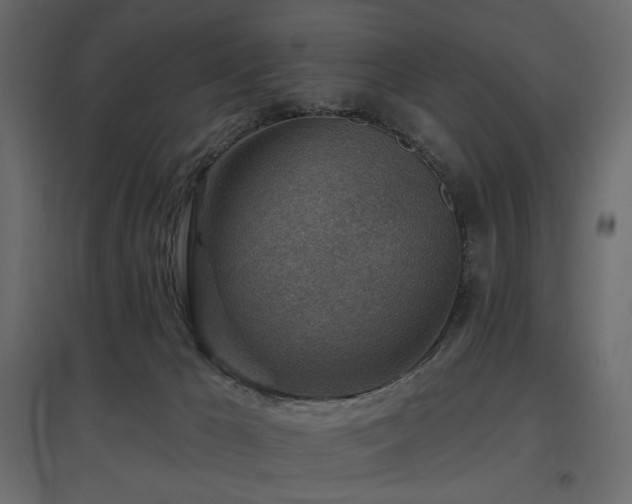 X0000097770029200803071327