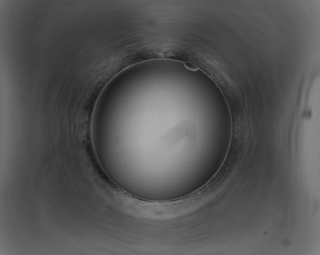 X0000097770030200803071327