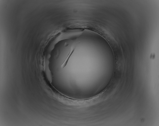 X0000097770031200803071327