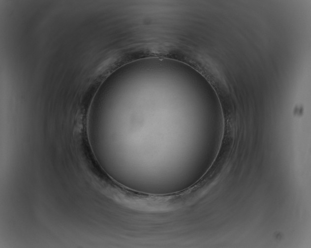 X0000097770032200803071327