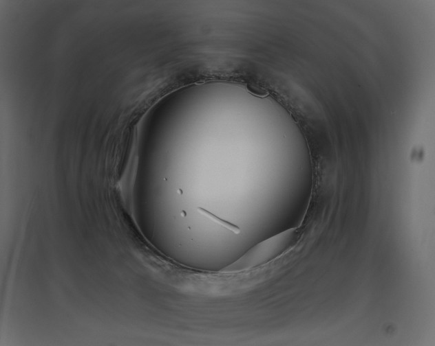 X0000097770033200803071327