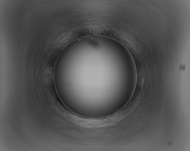 X0000097770034200803071327
