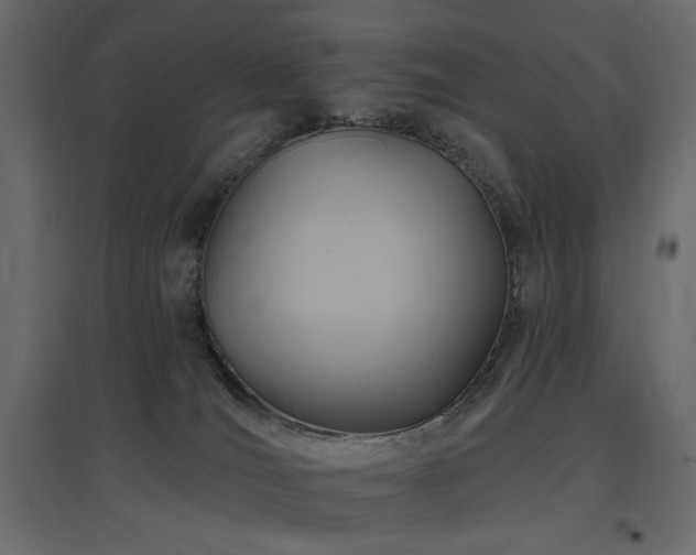X0000097770036200803071327