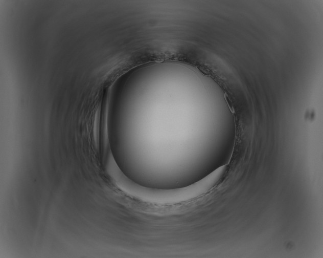 X0000097770037200803071327