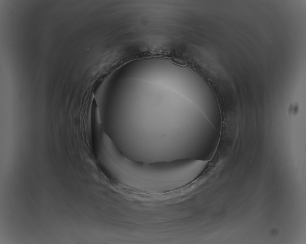 X0000097770039200803071327