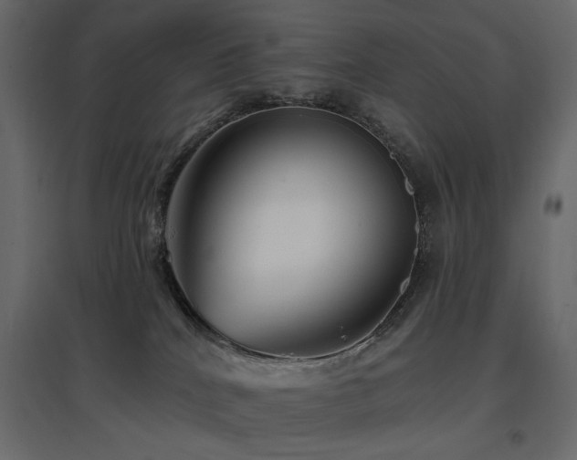 X0000097770040200803071327