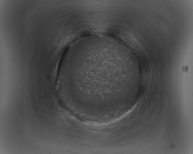 X0000097770041200803071327