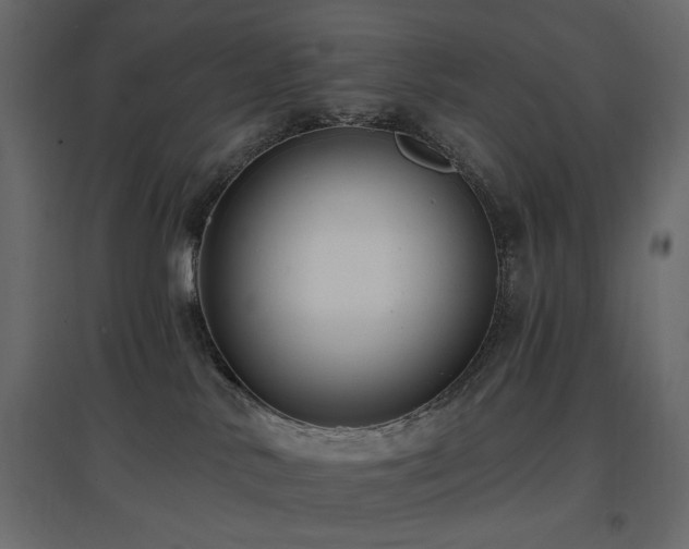 X0000097770042200803071327