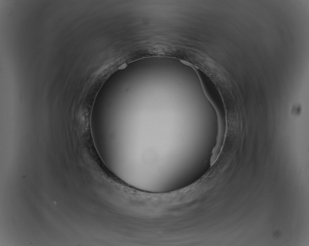X0000097770043200803071327