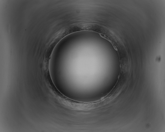 X0000097770044200803071327