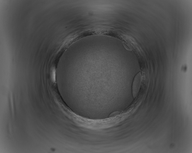X0000097770046200803071327