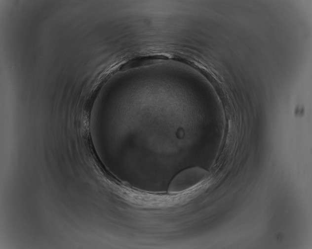 X0000097770048200803071327