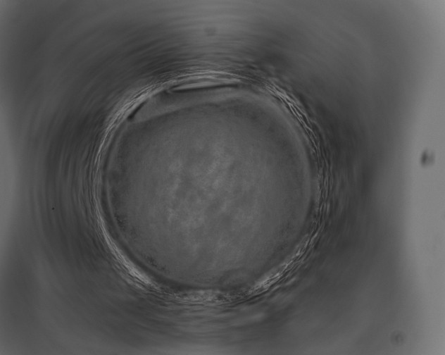 X0000097770049200803071326