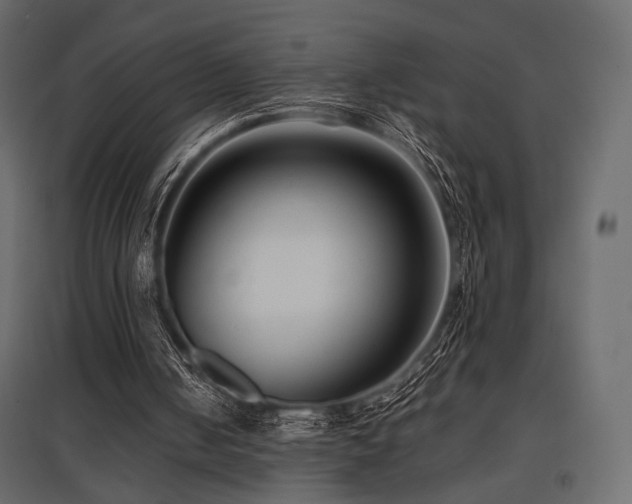X0000097770050200803071326