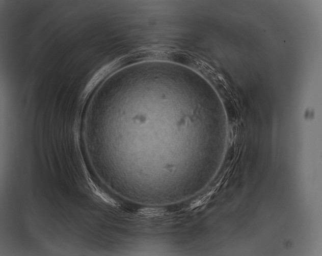 X0000097770051200803071326