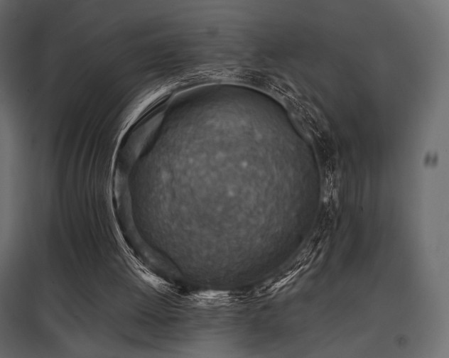 X0000097770052200803071327