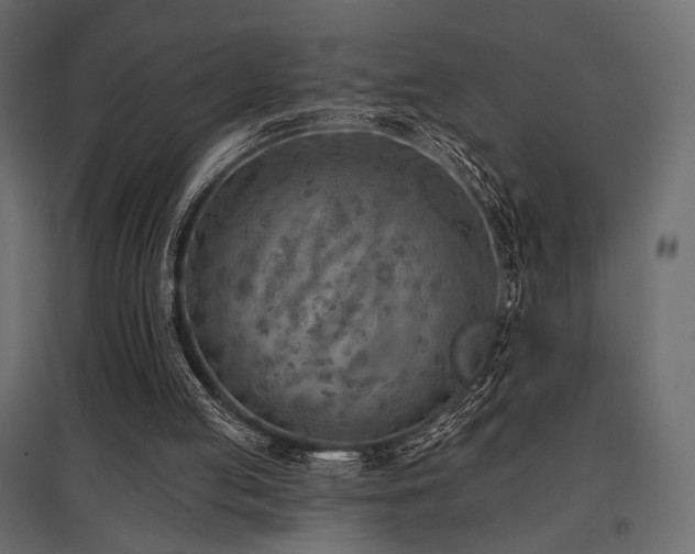 X0000097770053200803071327