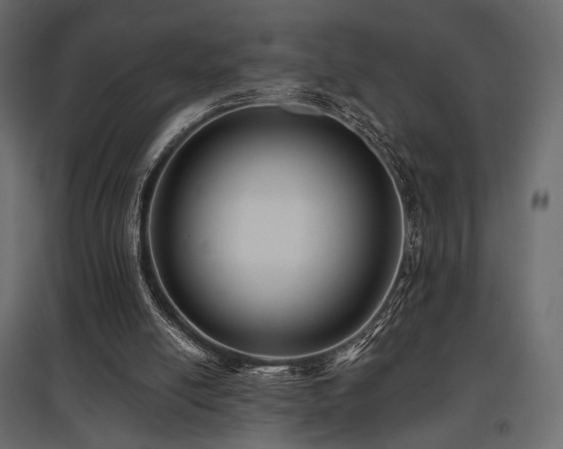 X0000097770054200803071327