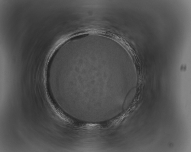 X0000097770055200803071327