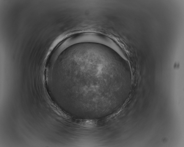 X0000097770056200803071327