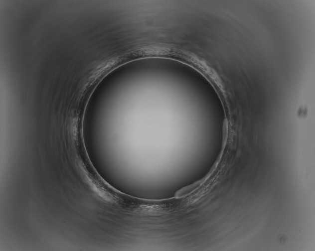 X0000097770057200803071327