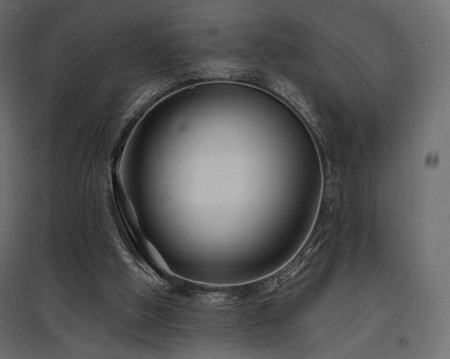 X0000097770058200803071327