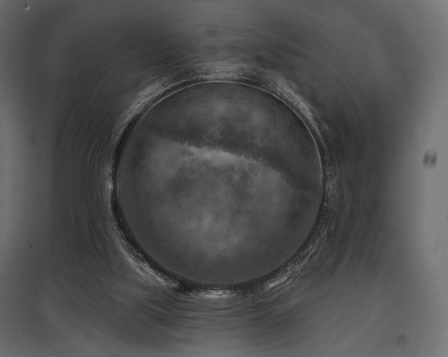 X0000097770059200803071327