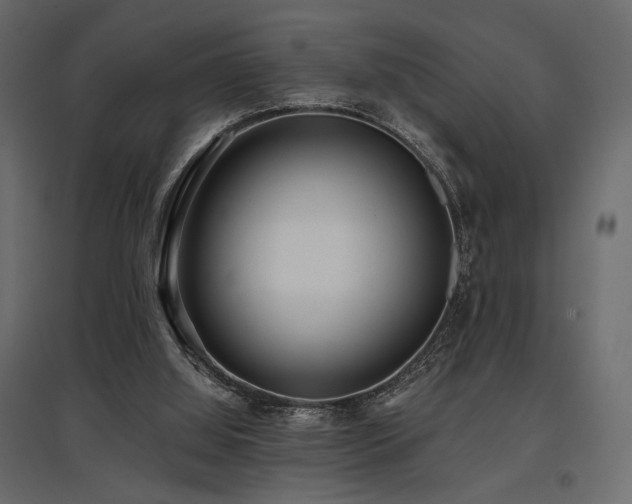 X0000097770060200803071327