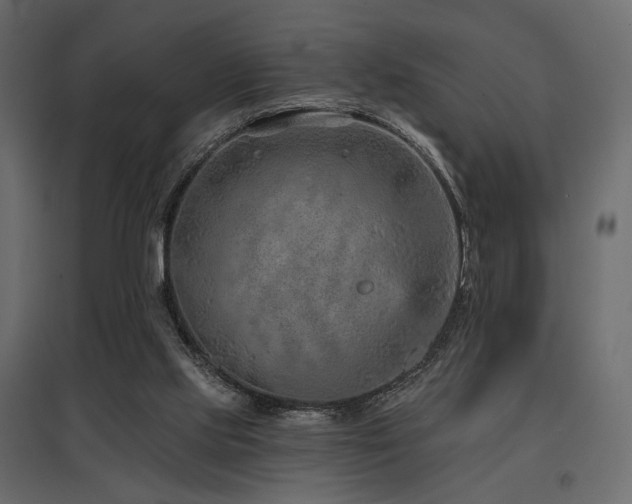 X0000097770061200803071327