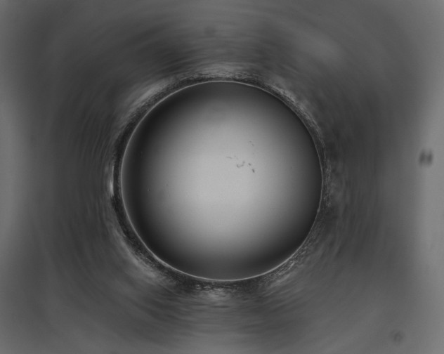 X0000097770062200803071327