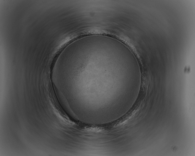 X0000097770063200803071327