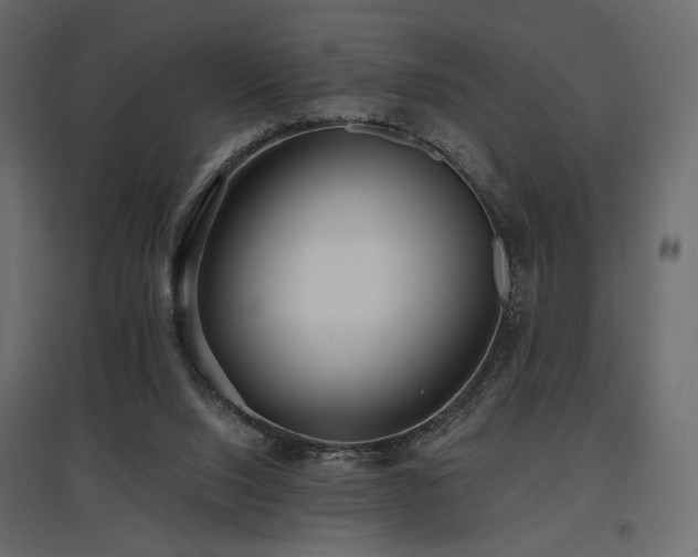 X0000097770064200803071327