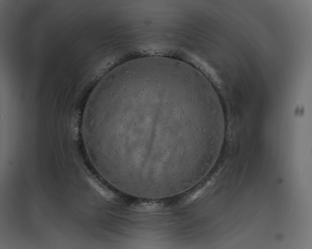 X0000097770065200803071327