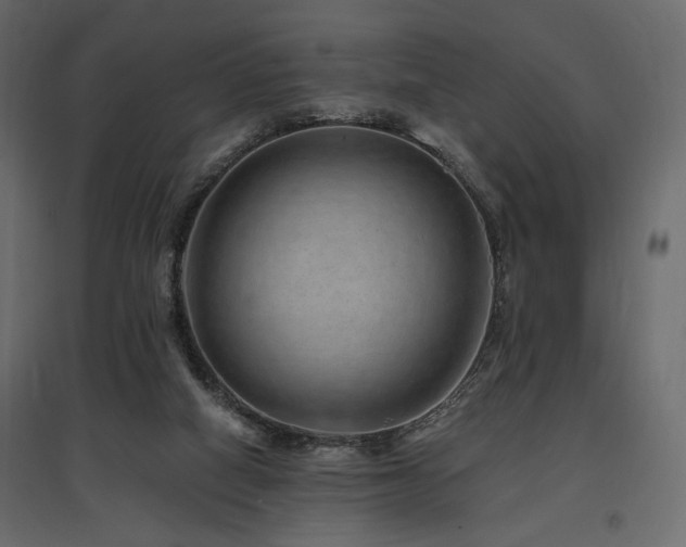X0000097770066200803071327