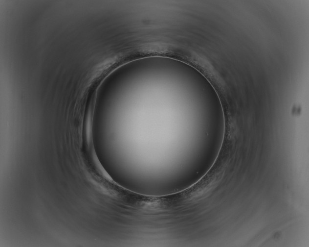 X0000097770068200803071327