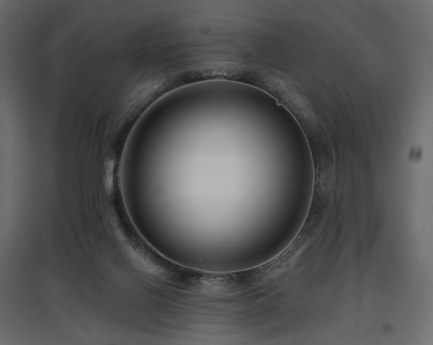 X0000097770070200803071327