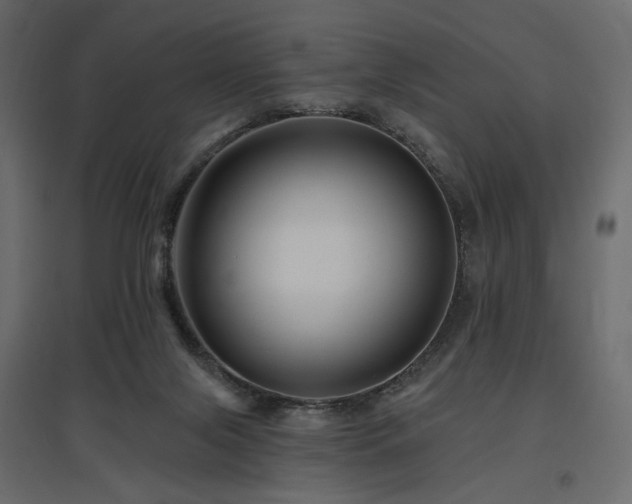 X0000097770071200803071327