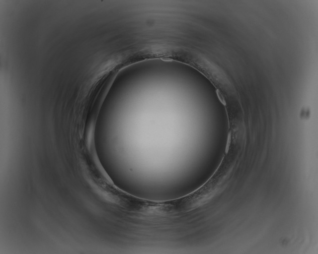 X0000097770072200803071327