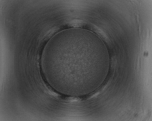 X0000097770073200803071327